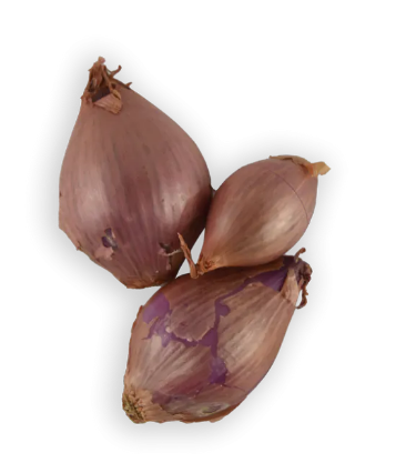 Shallots (Avg 12oz 18oz) 1 BAG